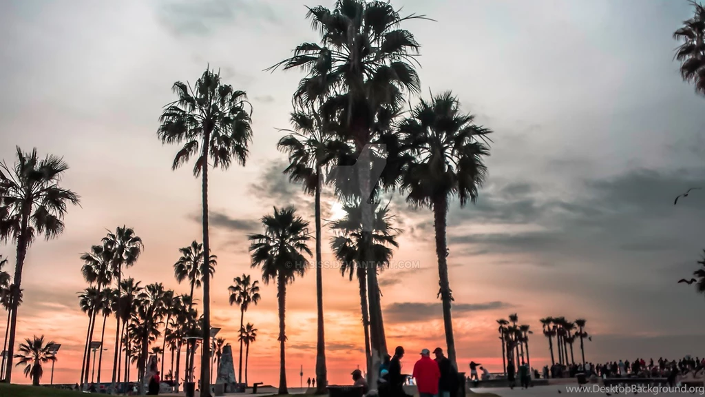 Golden State Of Mind   Venice Beach, CA By Habiss On DeviantArt