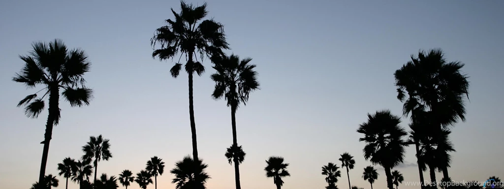 Download Wallpapers Sunset At Venice Beach, LA, California (3200 X ...