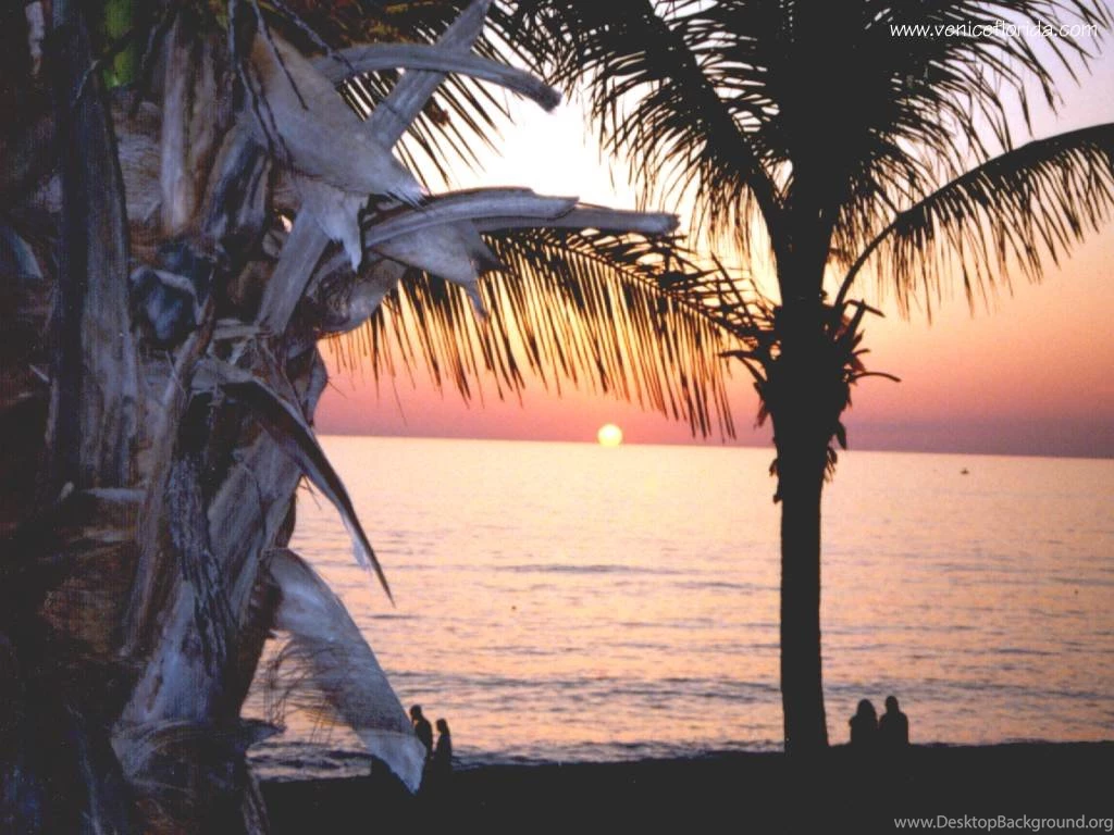 Venice Florida   Desktop Wallpapers