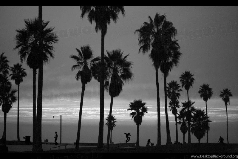 Design Your Own Custom Removable Wallpaper. Image: Venice Beach ...