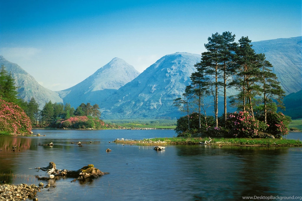 Nature desktop backgrounds .jpg