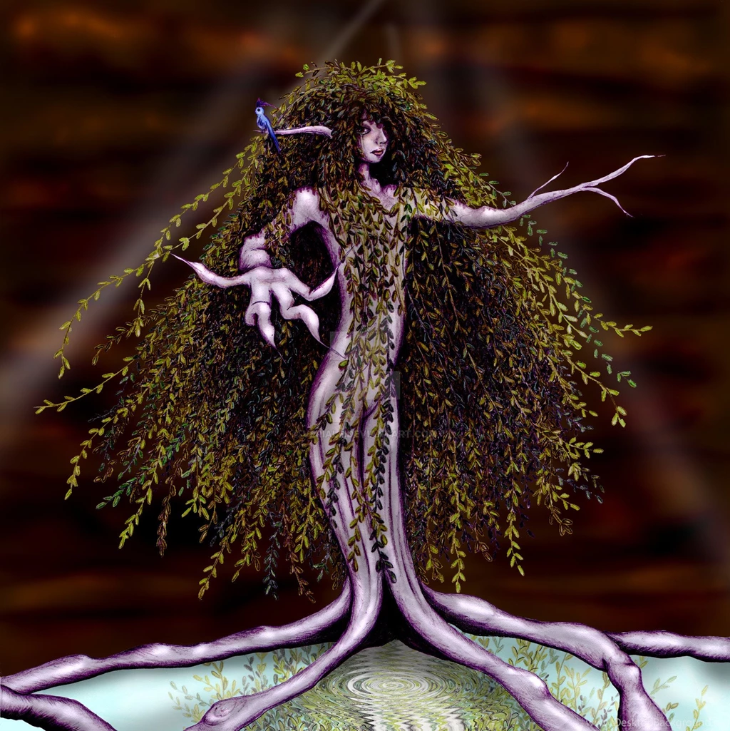 Weeping Willow By Veriale On DeviantArt
