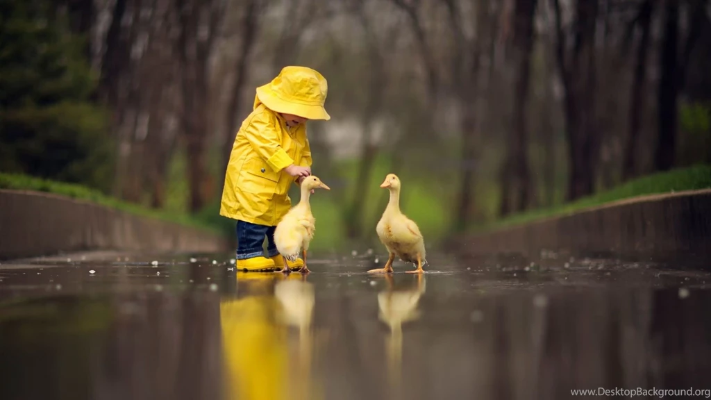 Little Baby With Ducks Wallpapers HD Download For Desktop