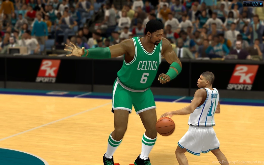 Larry Bird's Tube Sox