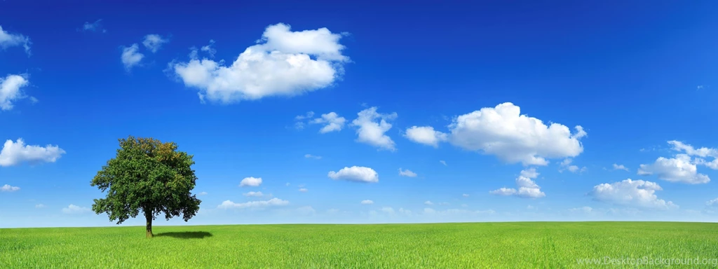 Landscapes Nature Animals Dual Screen