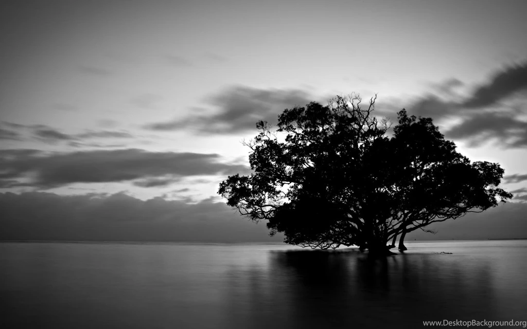 PC Background Images Wallpapers Zone