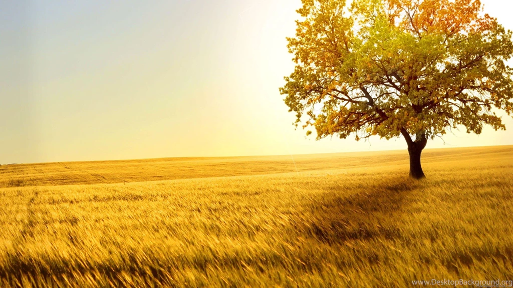 Hd PC Backgrounds Wallpapers And Backgrounds