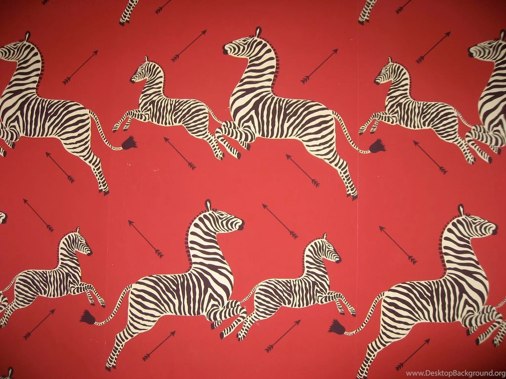The New Yorker Newsweek: Andrewromano: Zebra Wallpaper...