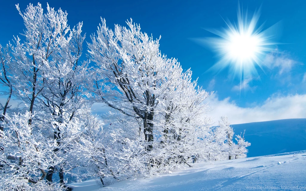Winter Scenes HD Wallpapers