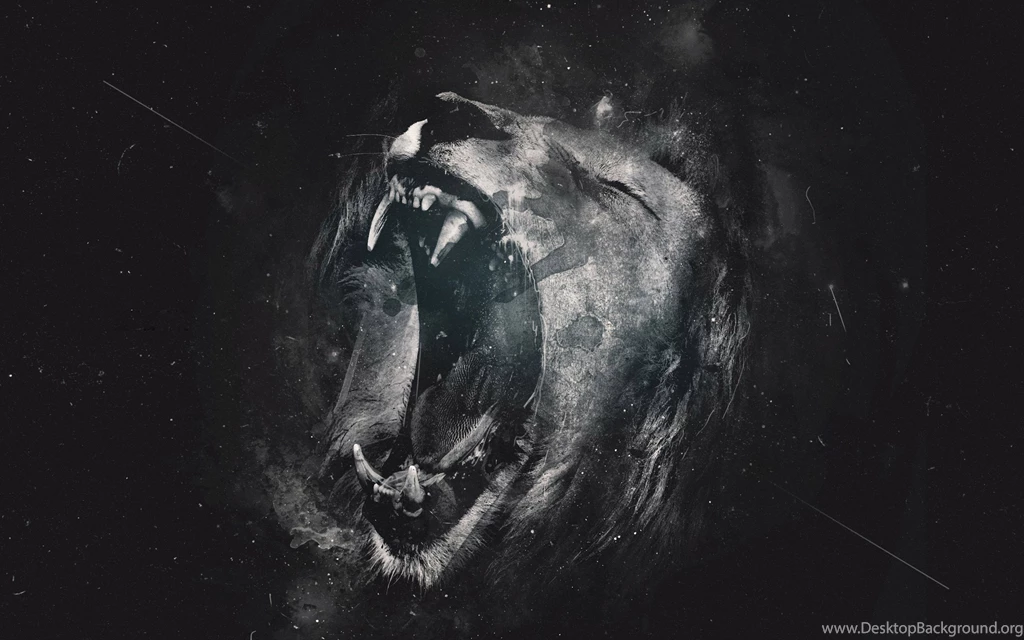 Lion Wallpapers Simple Cool Fullwidehd.com