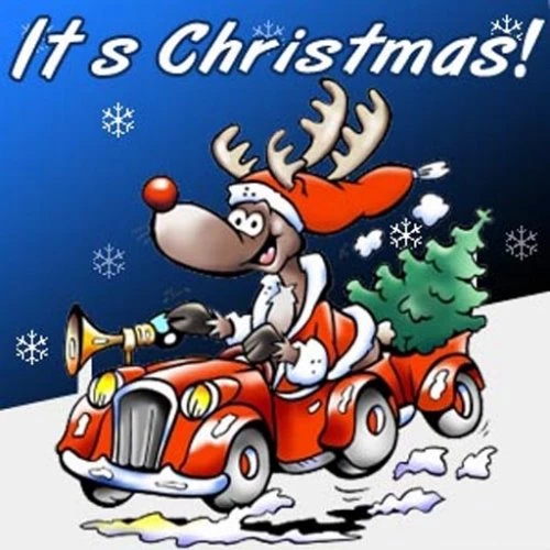 Free Funny Img2 Cell Phone Wallpapers