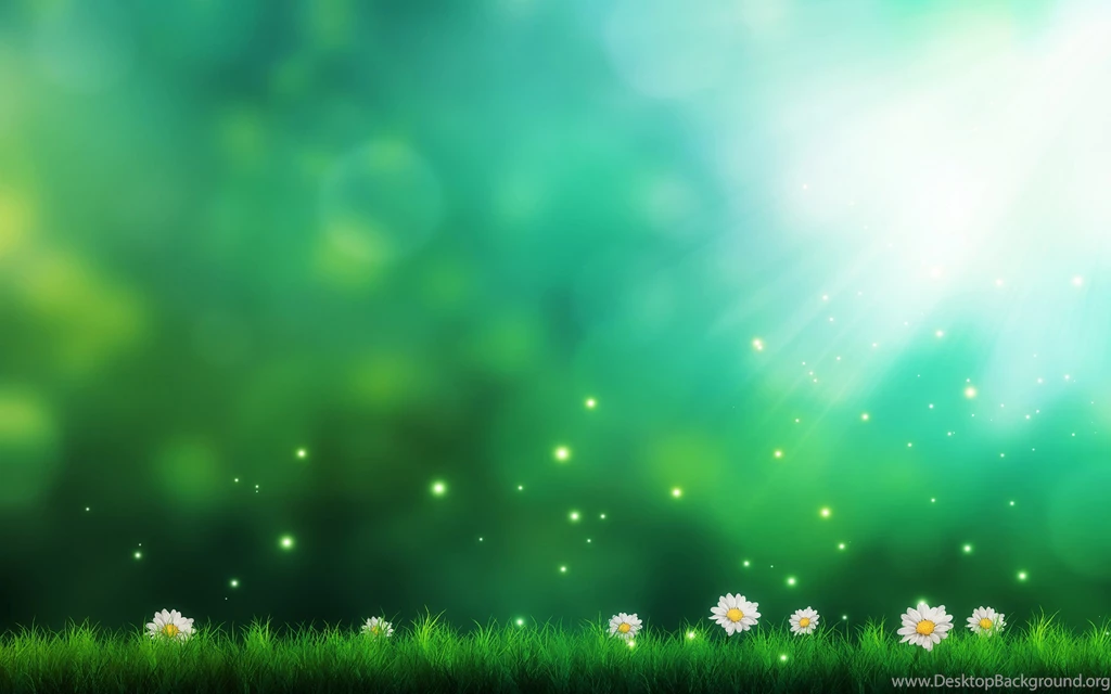 Wallpaper Backgrounds Collection (22+)