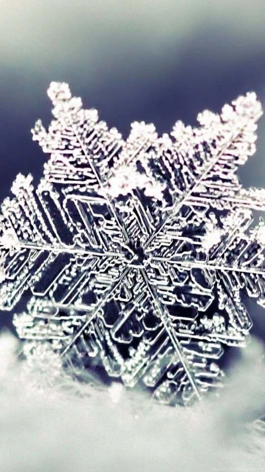 Android HTC Sensation 540x960 Snow Wallpapers HD, Desktop ...