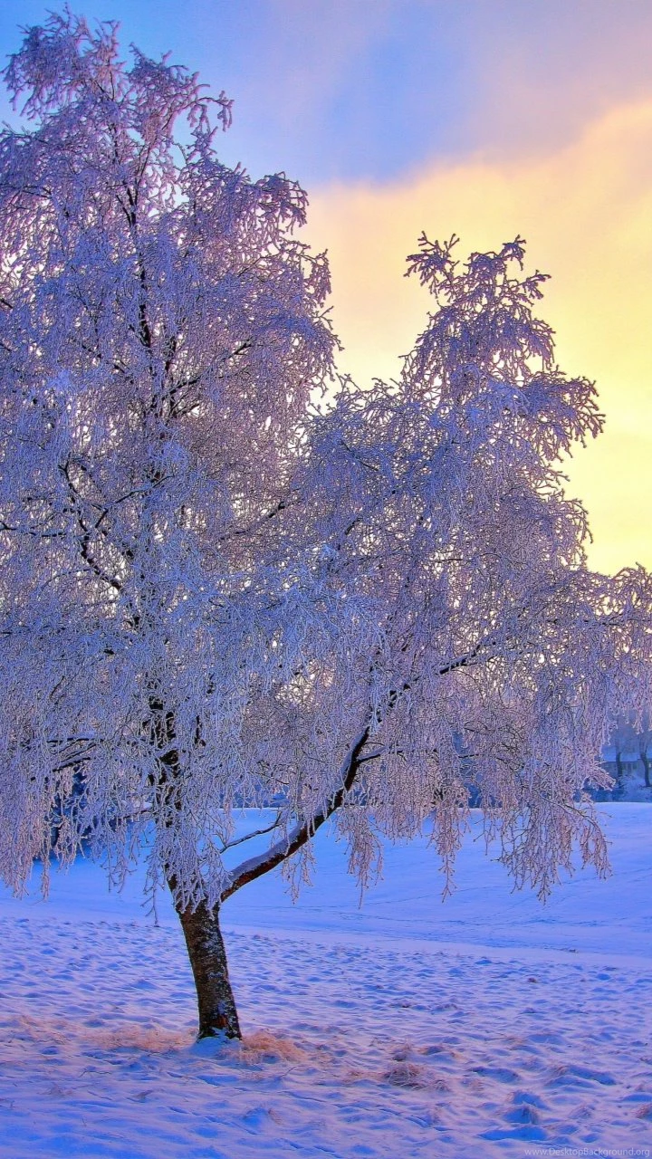 Free Wallpapers Downloads For Android Winter – Androidwalls.org
