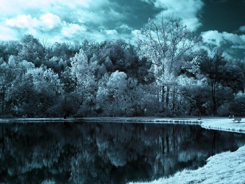 Winter,ice Ice Winter Trees Cold Winter Landscapes 1024x768 ...