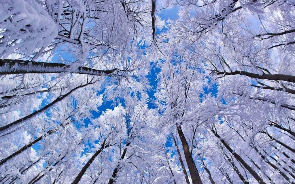 Winter HD Wallpapers Android Apps On Google Play