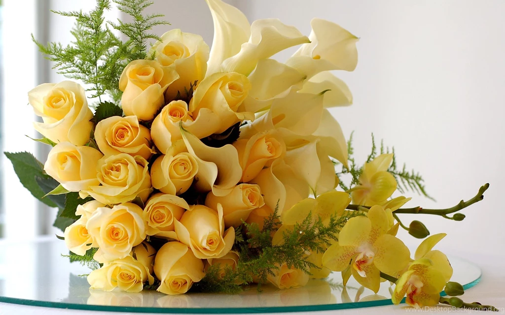 Download Flowers Roses Wallpapers 1920x1200