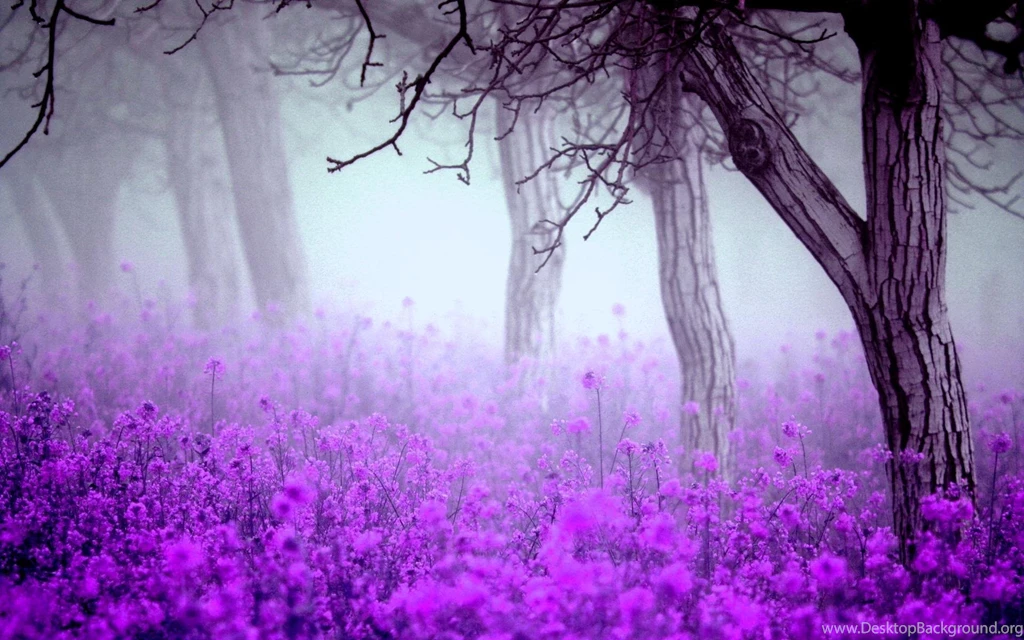 Purple Flowers Wallpapers   Wallpapers Cave