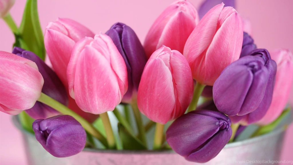 20+ HD Desktop Flower Wallpapers