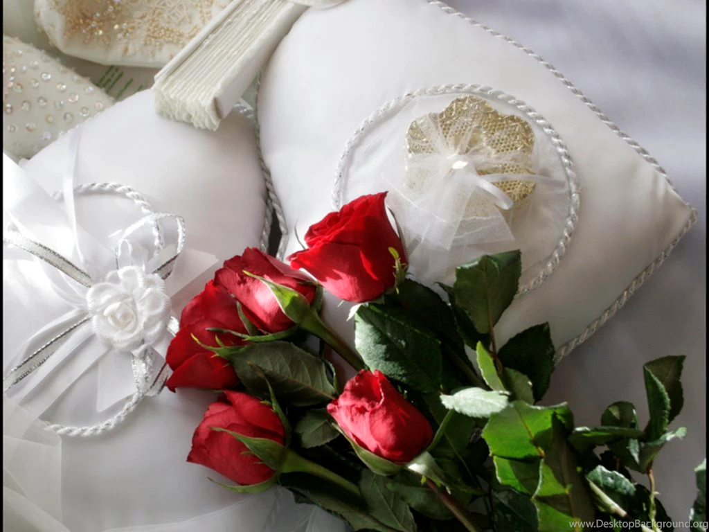 Day Romantic Red Rose Wallpapers And Backgrounds For Desktop