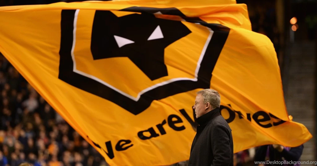 Wolves Blog: With A Bit Of Perspective, The Bigger Picture Isn't ...