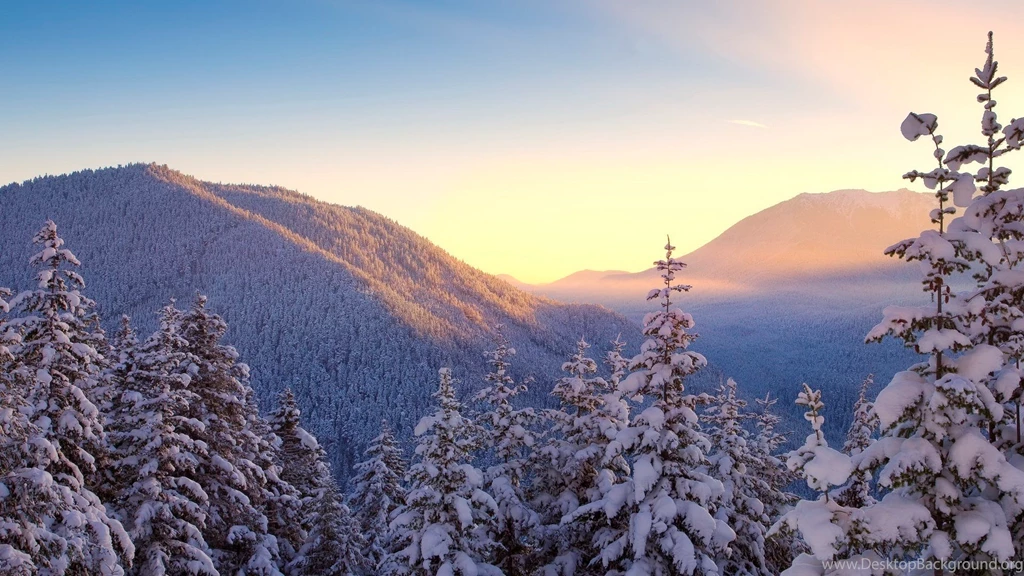 Winter Trees Scenery Pics Wallpapers (22173862) Fanpop