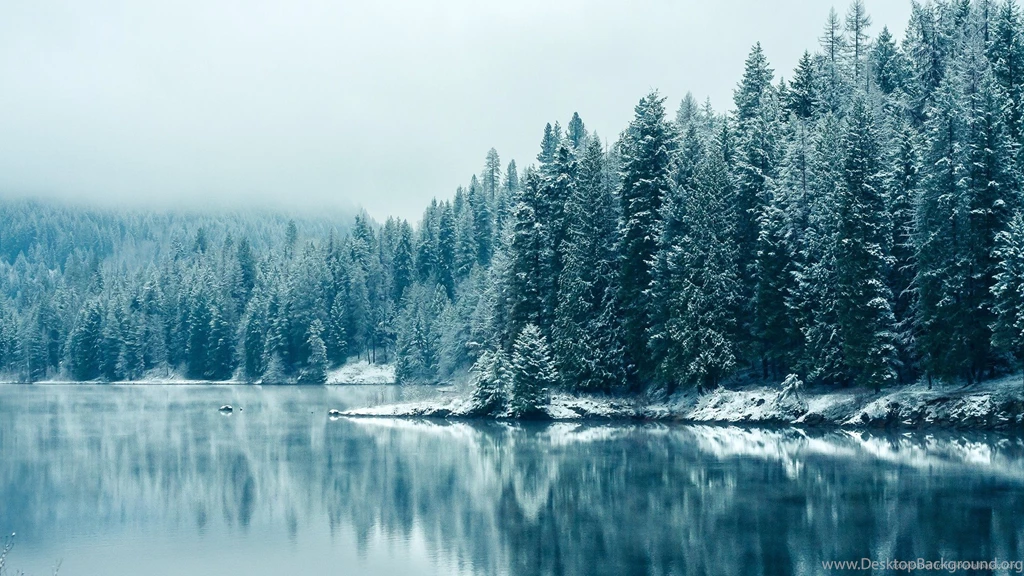 Download 1920x1080 Winter Lake And Trees Wallpapers