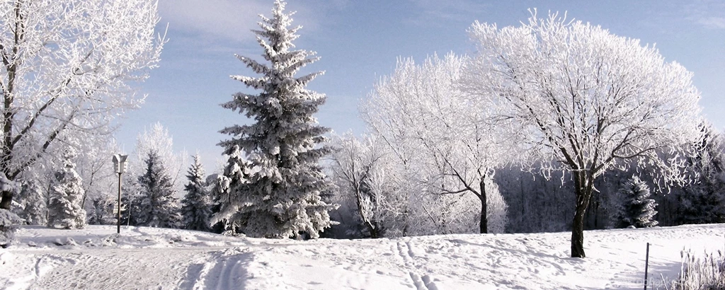 Download Wallpapers 2560x1024 Winter, Trees, Hoarfrost, Ski Track ...