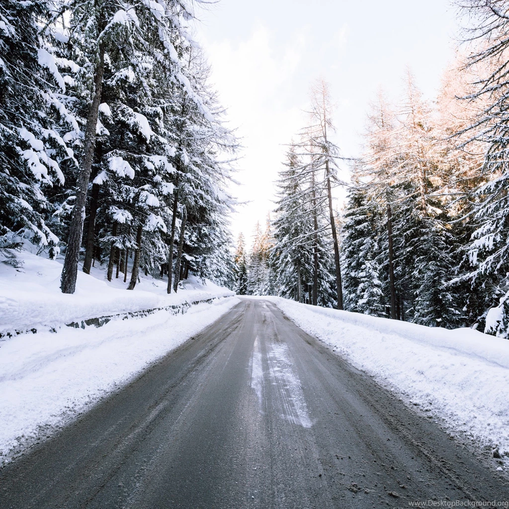 Download Wallpapers 2048x2048 Road, Snow, Winter, Trees New iPad ...