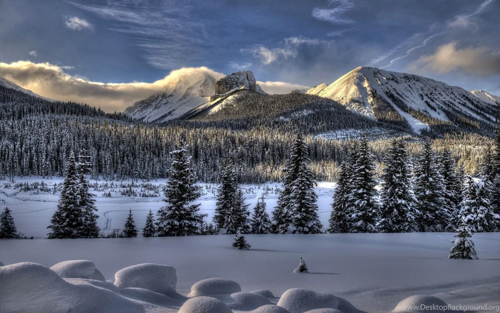 Download Wallpapers 3840x2400 Snow, Winter, Trees Ultra HD 4K HD ...