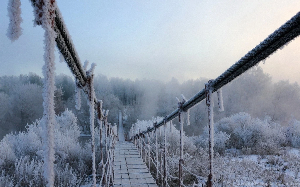 Frozen Bridge & Winter Trees Wallpapers