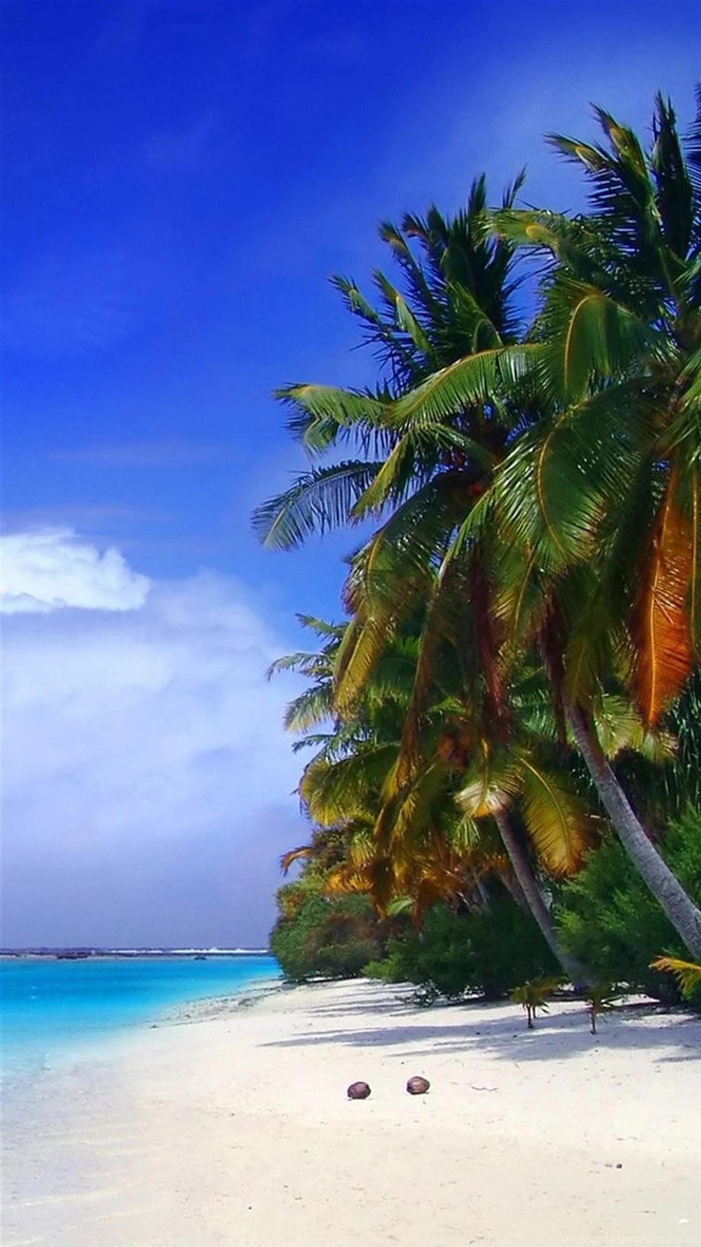 Wallpapers Sandy Beach Home Galaxy S Hd 1080x1920