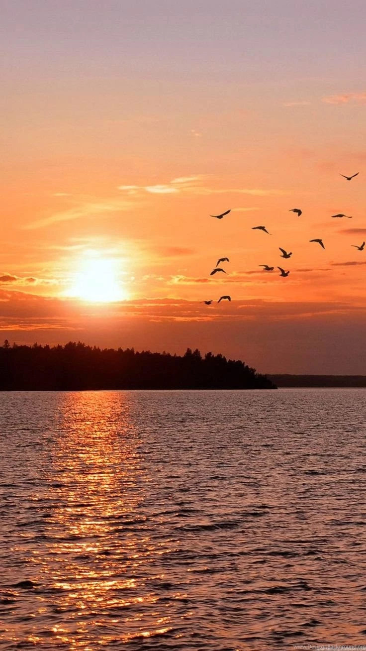 Galaxy S4 1080x1920 Wallpapers HD Http://www.samsung wallpapers.com ...