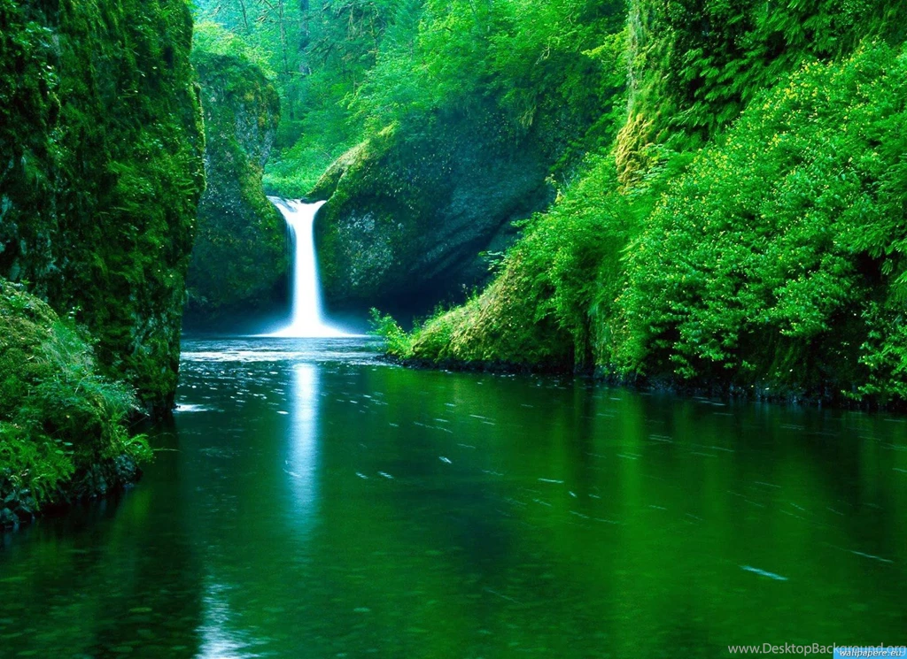 Top 10 Nature Wallpapers Desktop Backgrounds Desktop Background