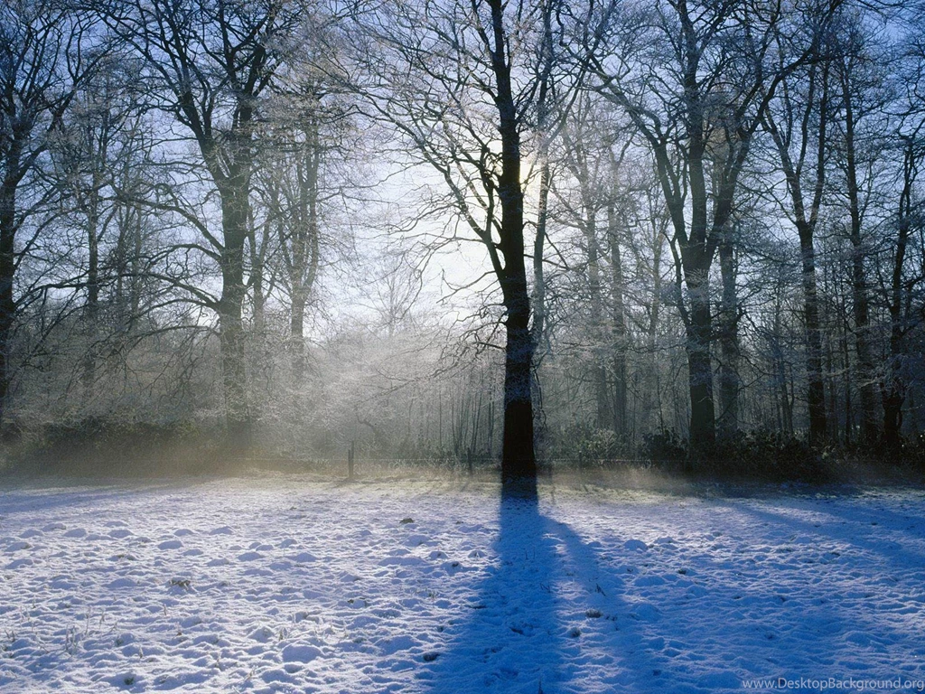 Free Winter Wallpaper Backgrounds Wallpapers Cave