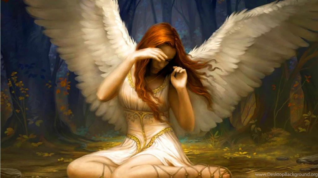 Angels & Fae   Warrior Nation