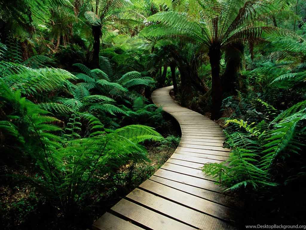 Nature HD Wallpapers