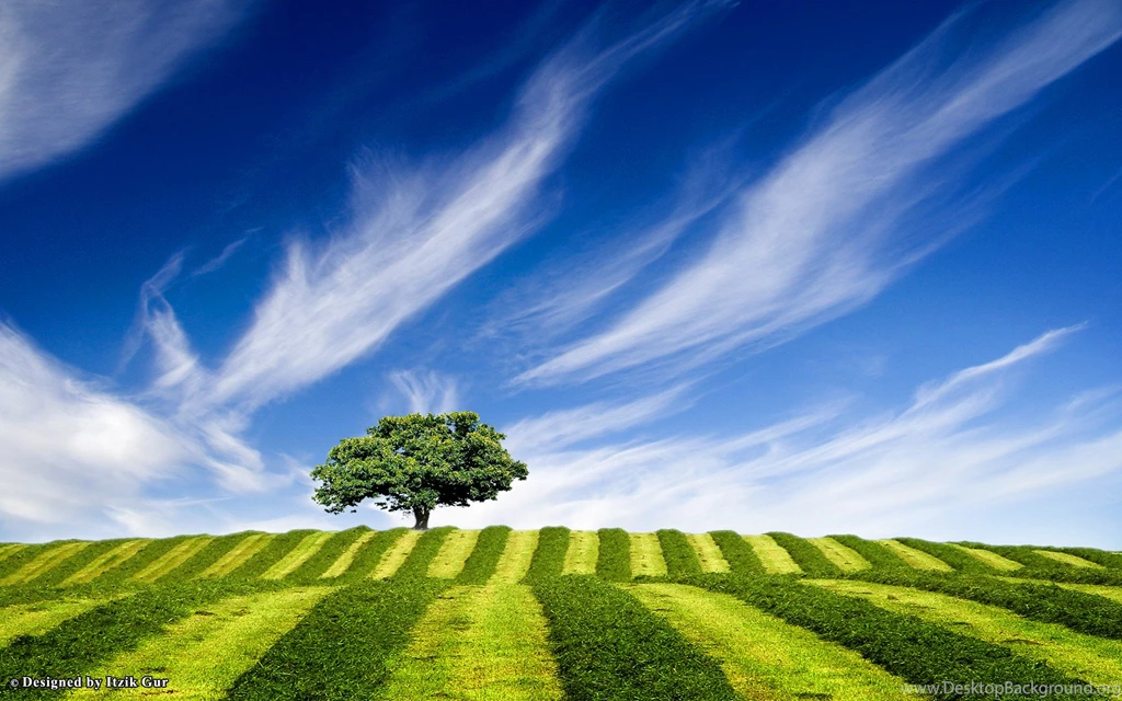 Hd Wallpapers