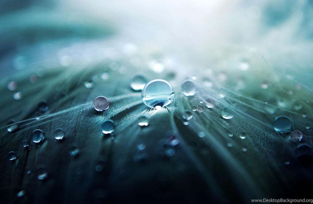 Download Free Modern Best The Wallpapers 1920x1080px