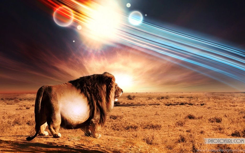 Best Wallpapers Download