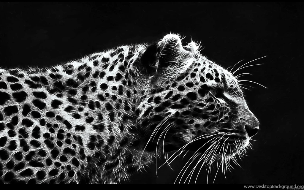 Best Hd Wallpapers Collection (36+)
