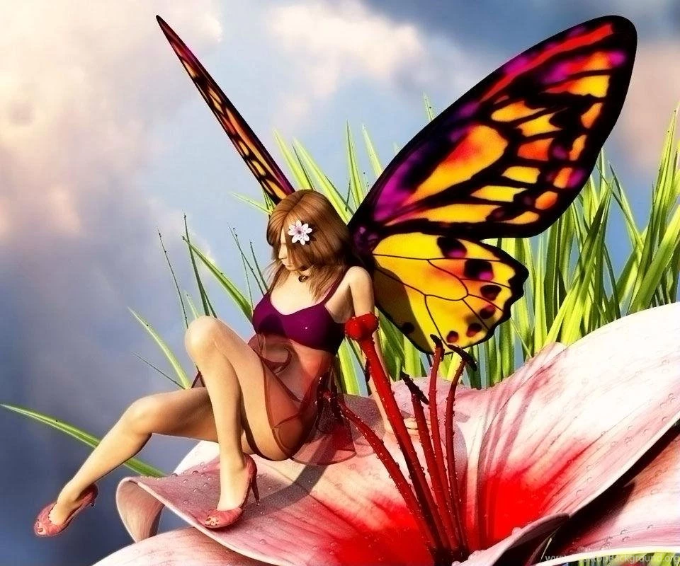 Fairies Live Wallpapers App Ranking And Store Data