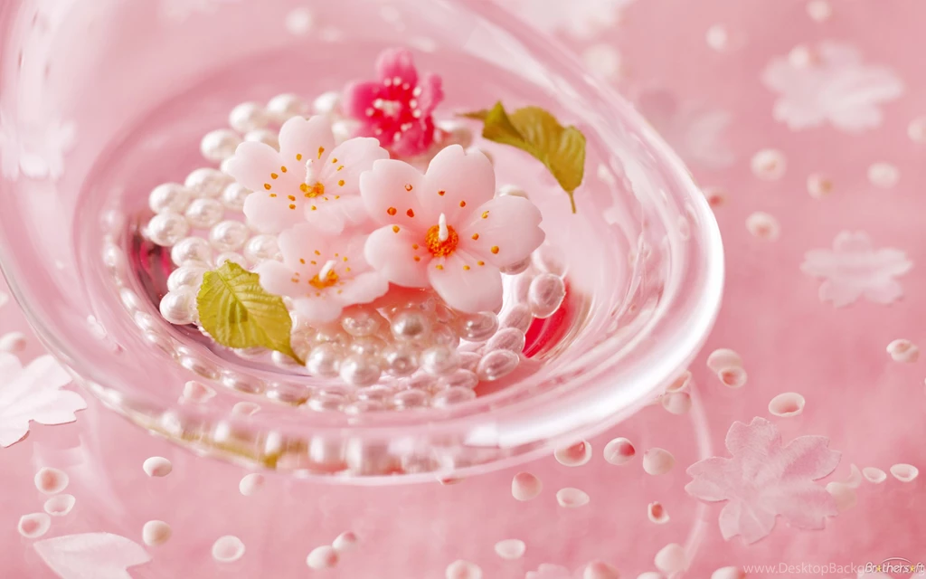 Flowers Wallpapers Download Collection (43+)