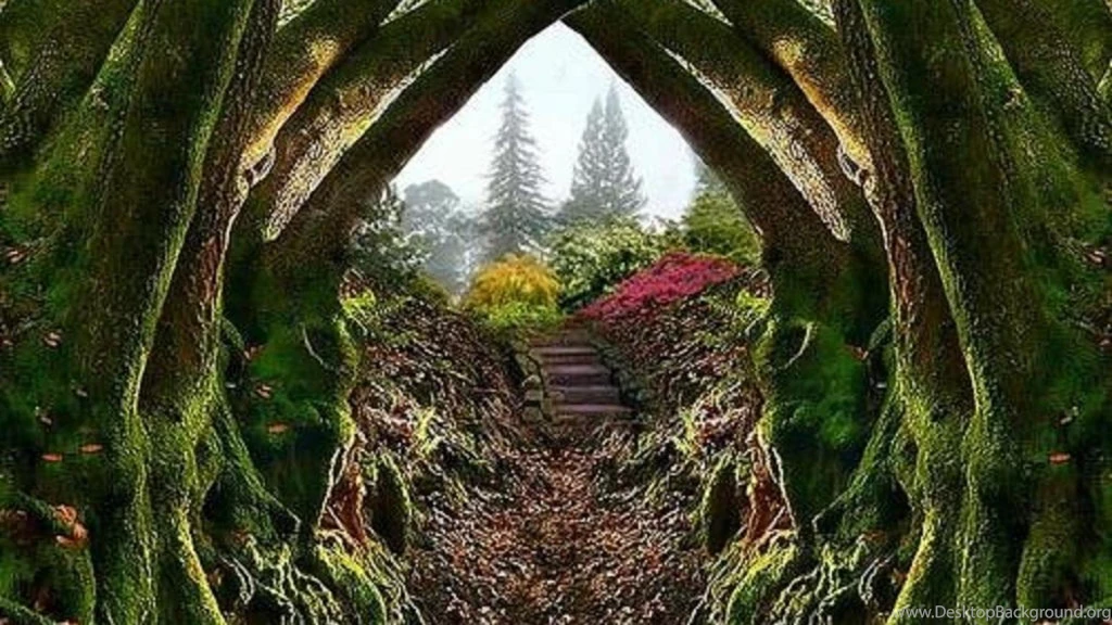 Entrance To The Secret Garden Wallpapers   (