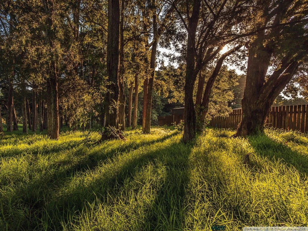 Botanics Secret Garden HD Desktop Wallpapers : High Definition ...