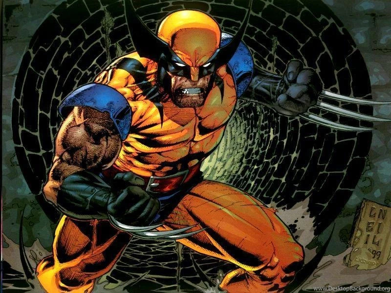 Wolverine Wallpapers Wolverine Wallpapers (3508351) Fanpop