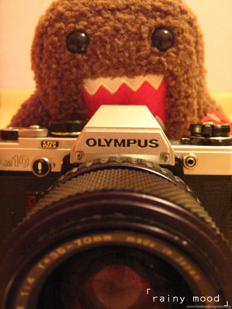 Say Cheese To Domo Kun By Rainy mood On DeviantArt