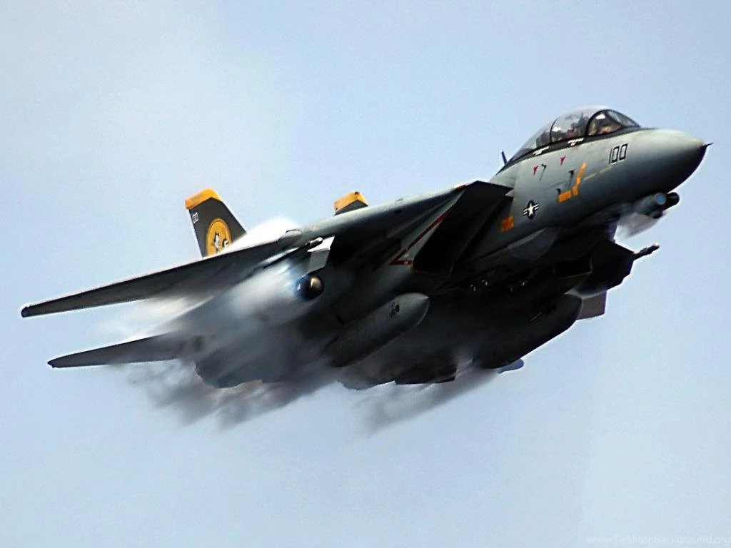 1024x768 Grumman F 14 Tomcat Desktop PC And Mac Wallpapers