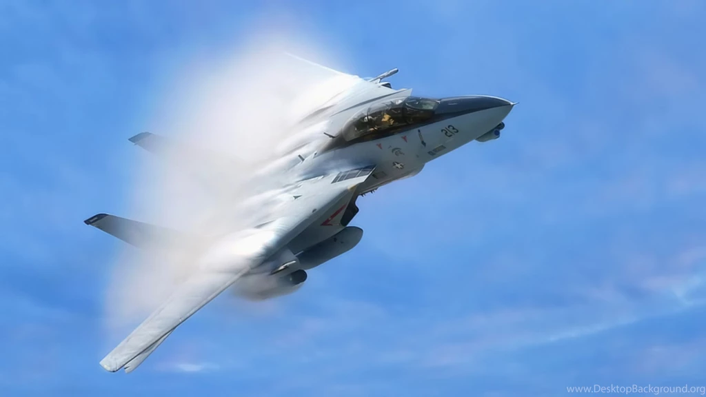Picture Of F14 Tomcat Rear