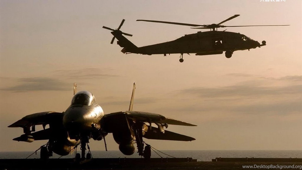U.S. Navy F14 Tomcat Fighter